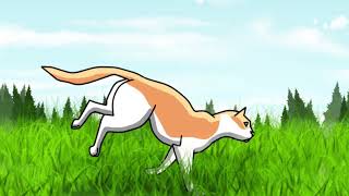 Cat Run Cycle