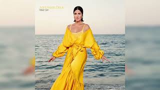 Sibel Can Adı Elveda Olsun albüm kapakları 