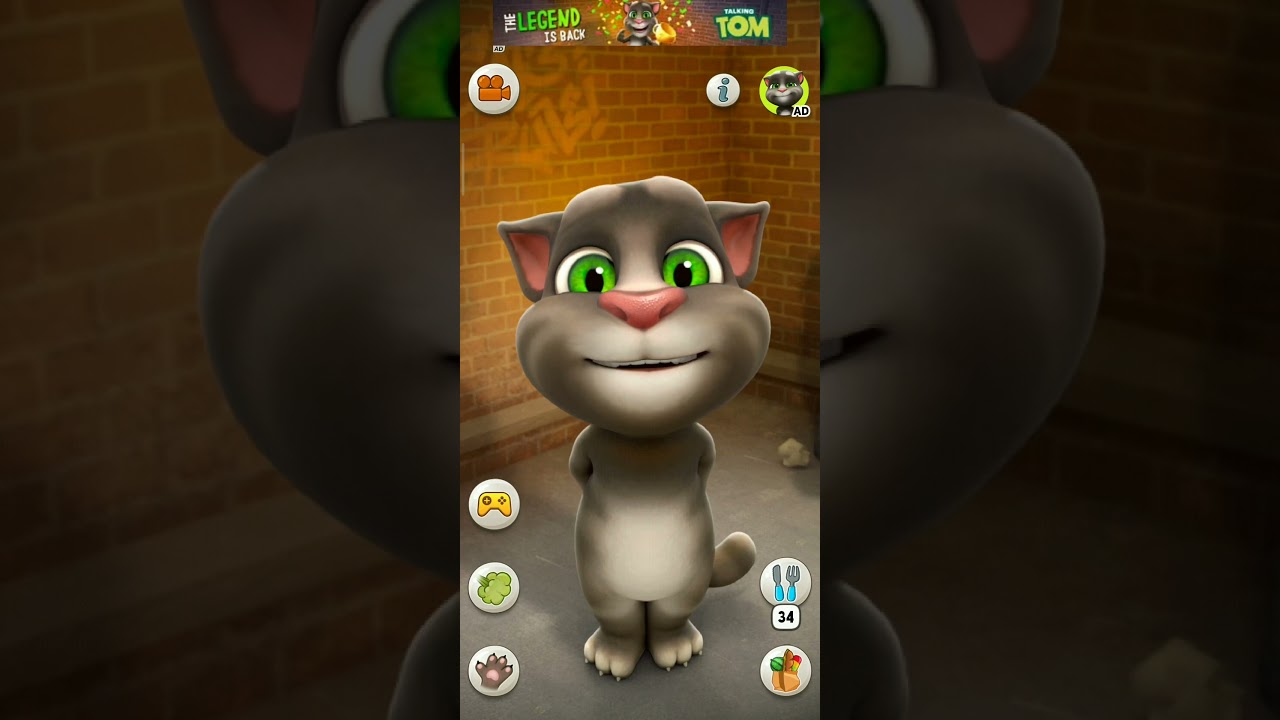 Obejrzyj Dudi Dudi dam dam #cat #funny #catlover #cute #cutecat #shortsfeed #trending #comedy w YouTube Obejrzyj Dudi Dudi dam dam #cat #funny #catlover #cute #cutecat #shortsfeed #trending #comedy w YouTube