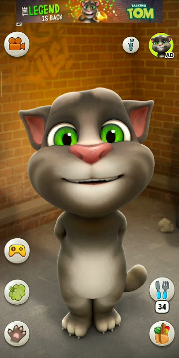 Dudi Dudi dam dam #cat #funny #catlover #cute #cutecat #shortsfeed #trending #comedy