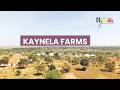 24 Hours at Kaynela Farms Uganda | Farm Life, Bonfire Nights &amp; Pure Nature