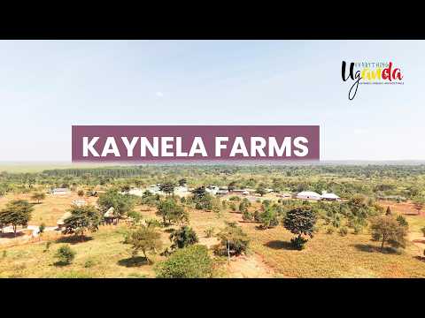 24 Hours at Kaynela Farms Uganda | Farm Life, Bonfire Nights & Pure Nature