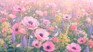 Soft Pink Anemones in Pastel Haze 🌷 soft waltz piano & flute · calm piano music for sleep screenshot 4