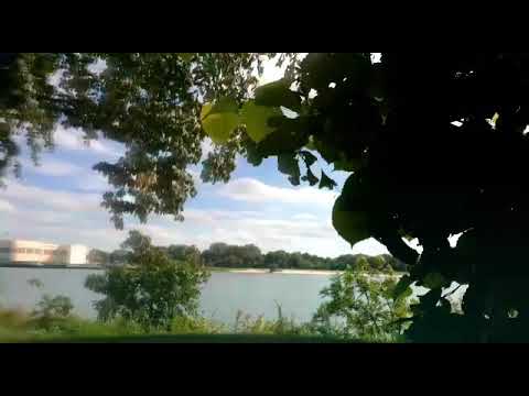 وديع الصافي قومي تنمشي بهالدني