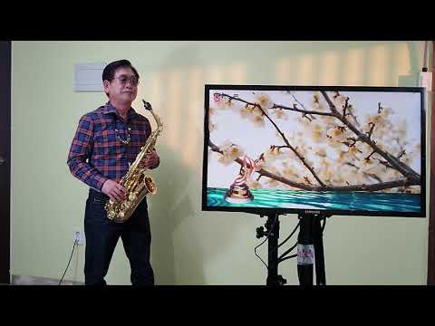 머나먼고향(디스코)-나훈아 Alto색소폰 문용식(ELF)