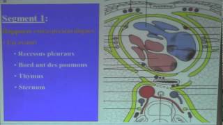 ANATOMIE DE L'AORTE THORACIQUE  PARTIE3