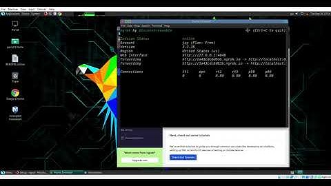 How to Install Ngrok in Parrot OS