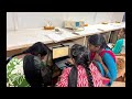 (VALUE ADDED COURSE ON AI & MACHINE LEARNING)SRI BHARATHI ENGINEERING COLLEGE FOR WOMEN @PUDUKKOTTAI