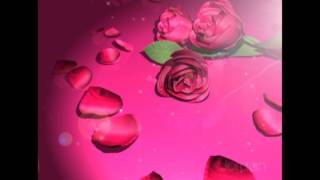 Roses Petals