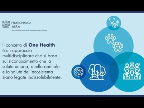 Video: Ecco come un approccio integrativo di salute può essere la migliore opzione per il vostro animale domestico