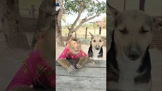 Good Video SokYaa,OG, Pao & Mom Are Famous Around The World #shorts