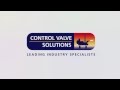 Control Valve Solutions 3D Logo Animation