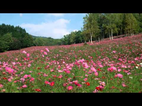 Встреча у дольменов, А.Саврасов, 3 серия, 2013 год