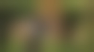 Soldier and saboteur 09