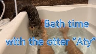 The first bath time for Otter 'Aty' [Otter life Day 1st]初めてのお風呂