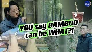 Bamboo: the super material you never knew about