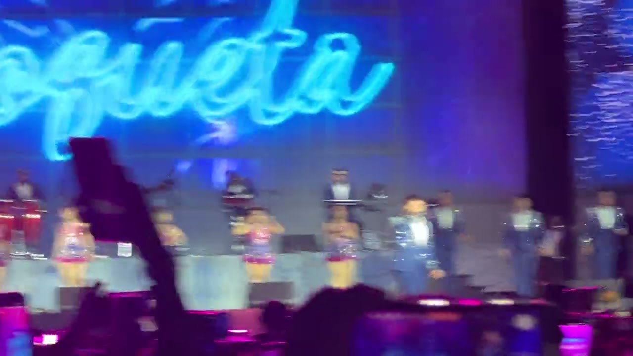 Coqueta- la bella luz 