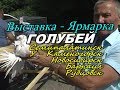 Вторая Выставка голубей Семипалатинск 2019