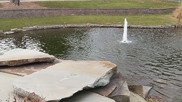 Android 8.1.0 DP2 (OPP6.171019.012) Video Recording Audio Test on Pixel 2 XL