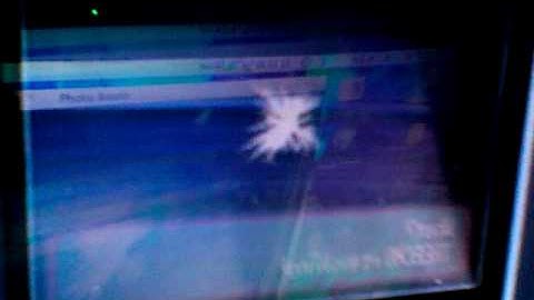 pokemon ruby - treecko evolves