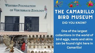 Conejo Valley Community Spotlight: Western Foundation of Vertebrate Zoology (Camarillo Bird Museum)