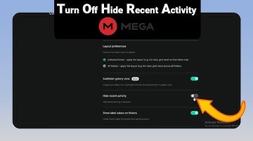 How to Turn Off Hide Recent Activity on Mega [NEW]