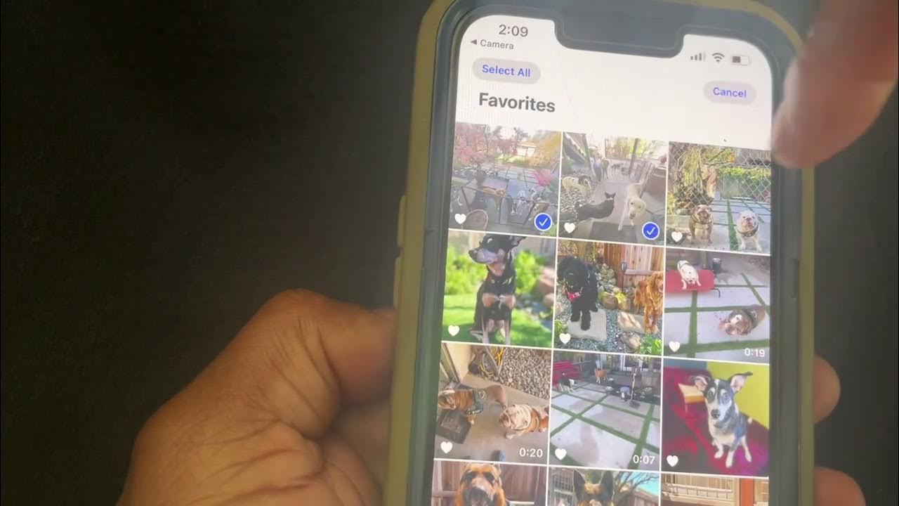 iPhone How to unfavorite multiple photos and videos at the same time