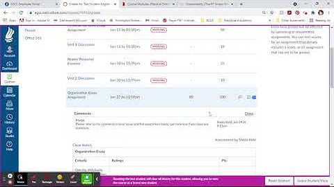 Accessing Assignment Feedback in Canvas