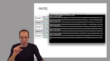 ADS1: Reads in FASTQ format