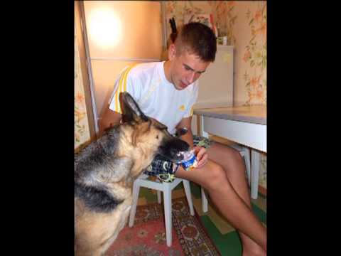 Моя сім'я за здорове харчування! - SkoolTV
