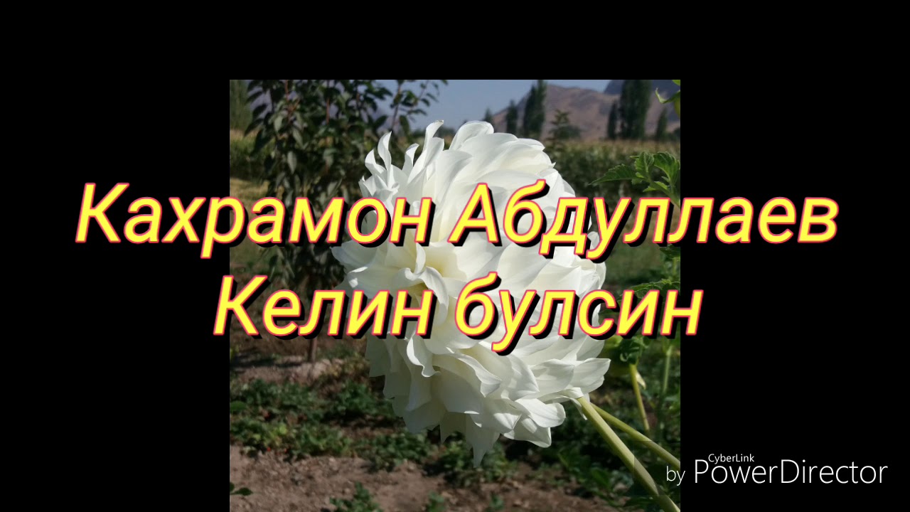 Кахрамон Абдуллаев