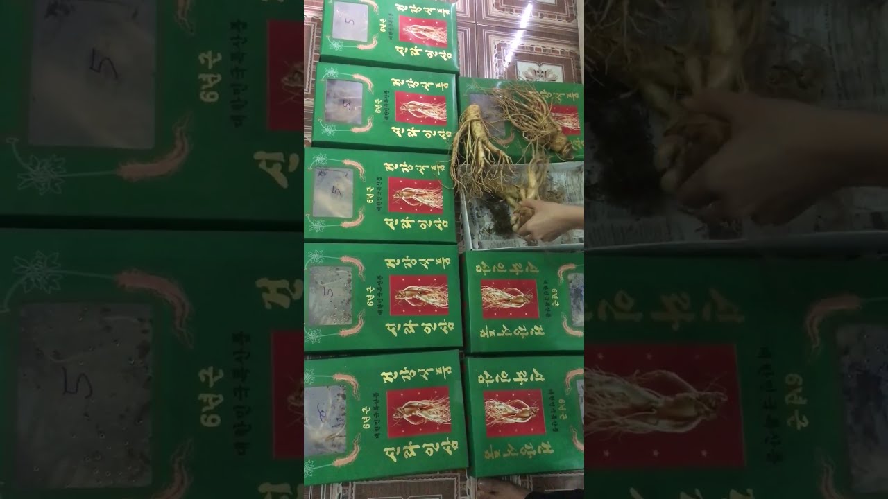 Bán Sâm Tươi Hàn Quốc Tại TPHCM