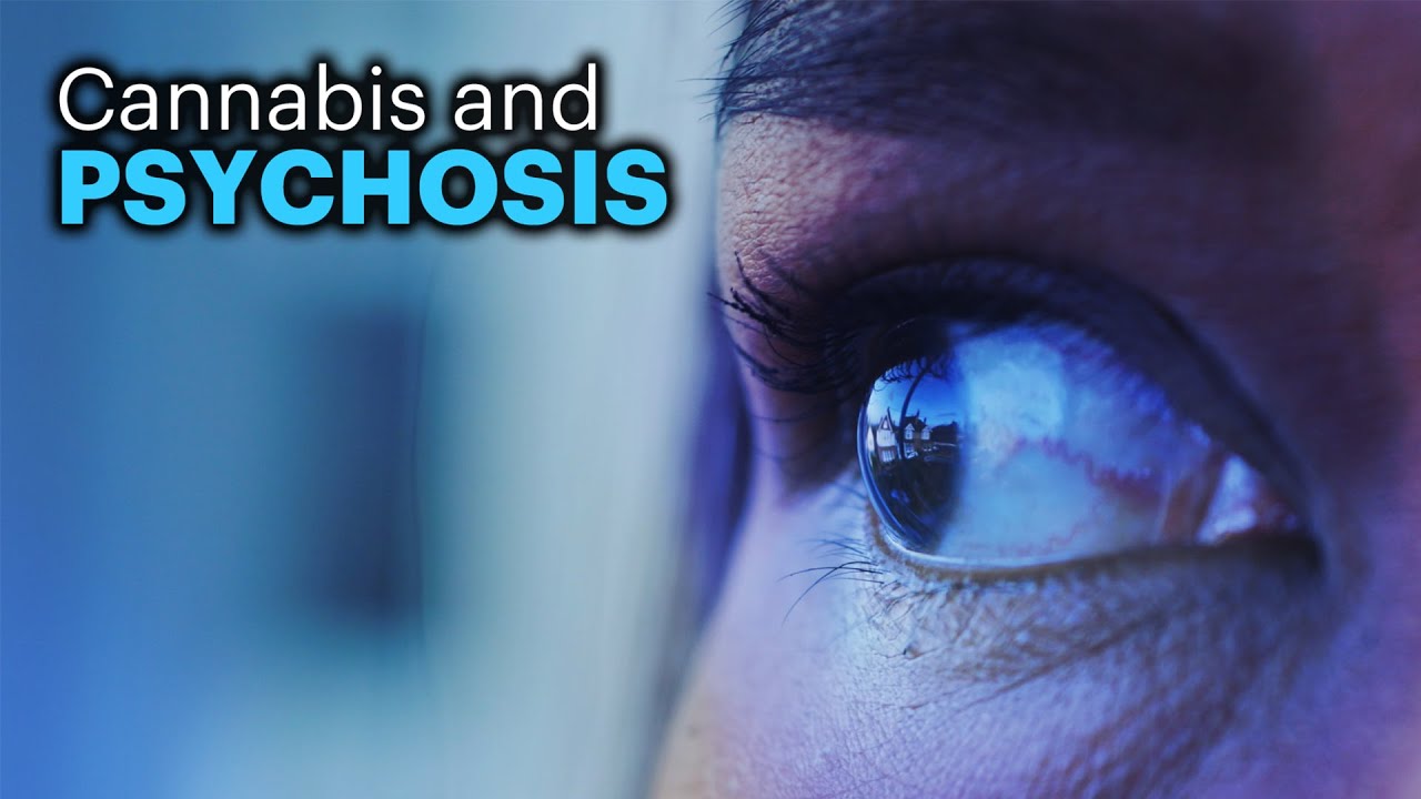 Cannabis Question Extra: Is there a Link Between Cannabis and Psychosis?