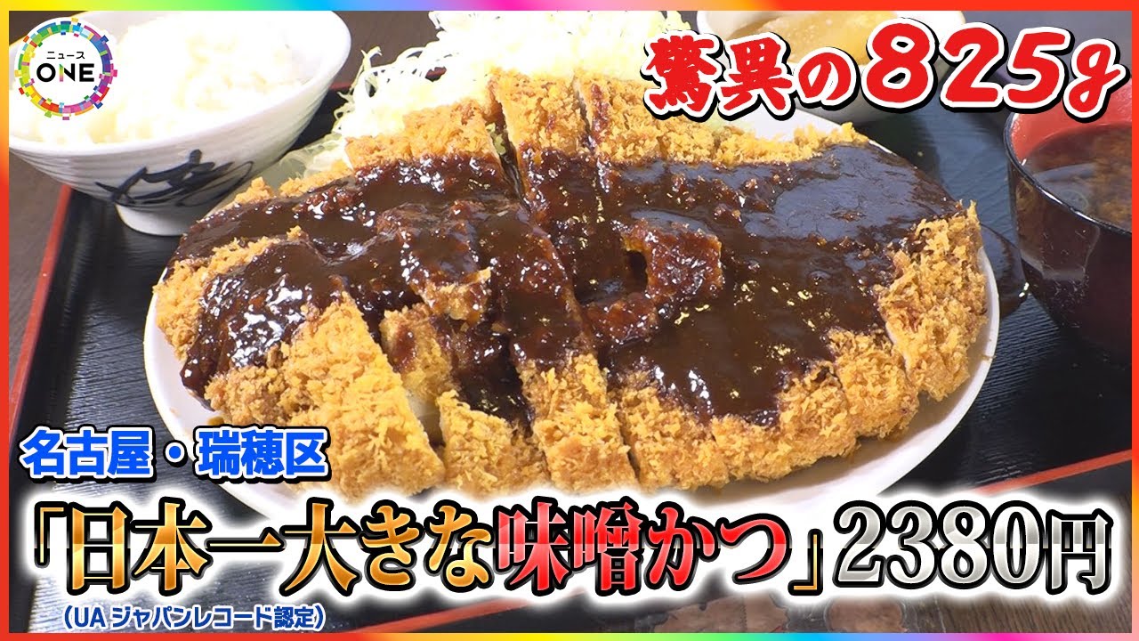 美味しく出せるギリギリを追求…老舗が作り続ける“日本一大きな味噌カツ” ボリュームと値ごろ感にアツい支持 東海ナルホド調査団