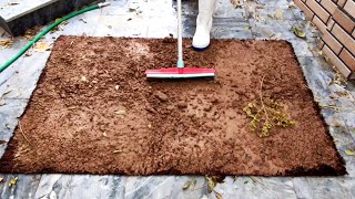 Carpet cleaning satisfying| ASMR: cleaningthe terribly dirty and muddy carpet