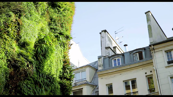 Expos #02: Discover the online 'green' community o...
