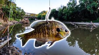 Fishing Big Live Baits In Shallow Creepy Waters For Big Fish!!! (Almost Went In!!)