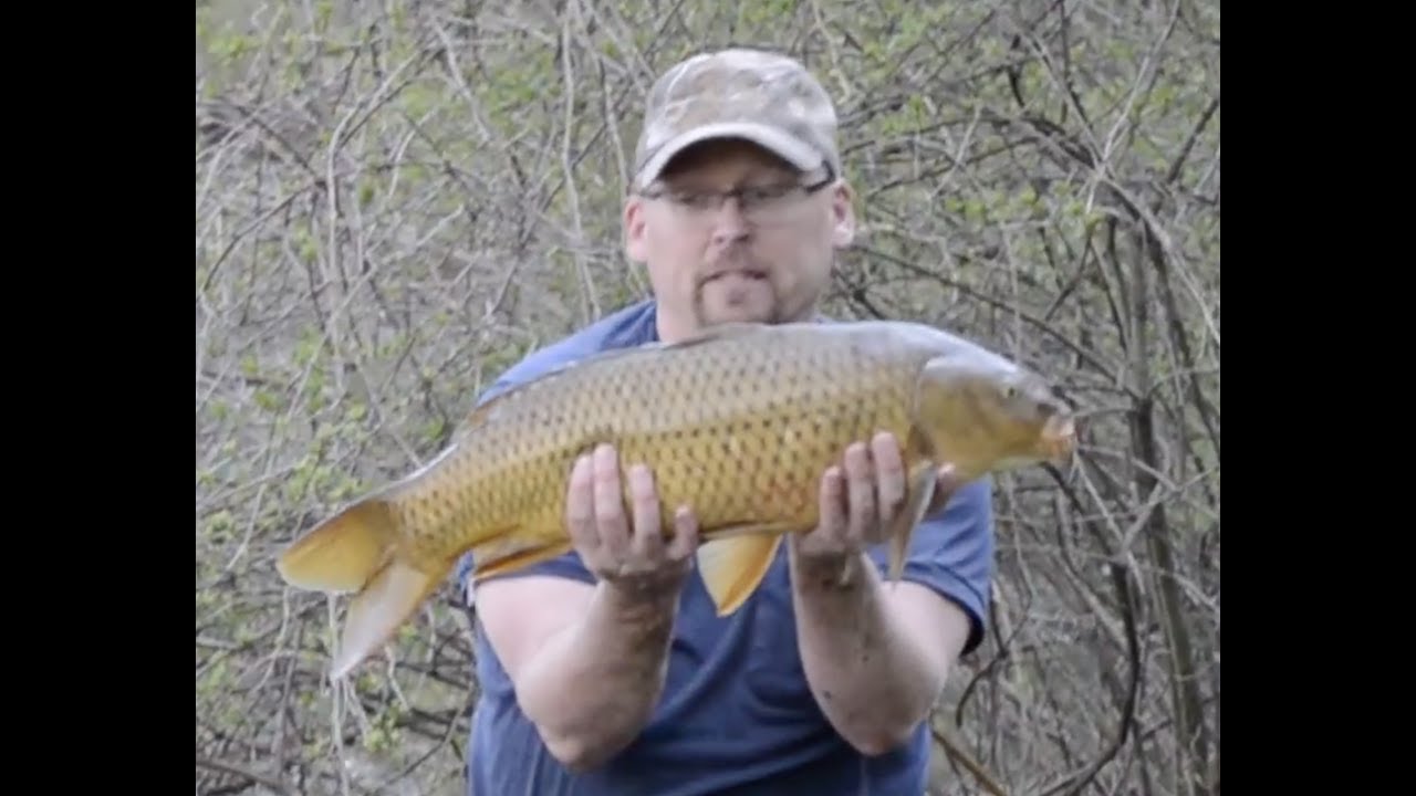 Goldie's Fishin Adventures