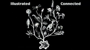 Dr Don Patton - The Fossil record - Part 1