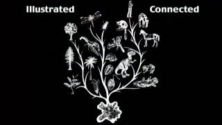 Dr Don Patton - The Fossil record - Part 1