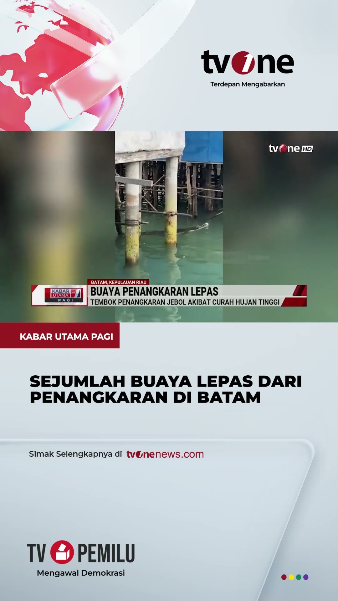 Waduh! Penangkaran di Batam Jebol, Buaya Bebas! | tvOne