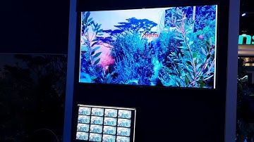 CES 2019 Intel Trailguard AI anti-polution solution