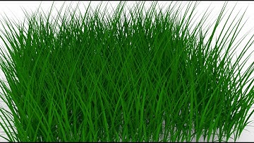 Grass generator. Grasshopper. Rhino