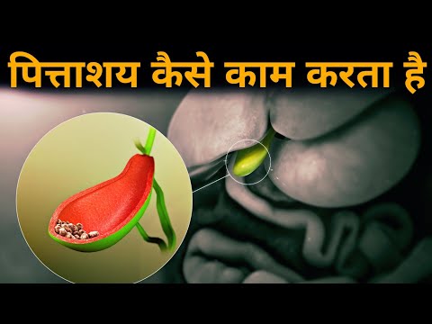 वीडियो: जेन के पिता कहां काम करते हैं?