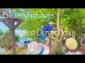 Blue Vintage Live in Okinawa 3days  渚のハニー/Memory