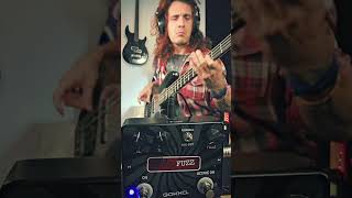 Gokko Octave Fuzz #bass