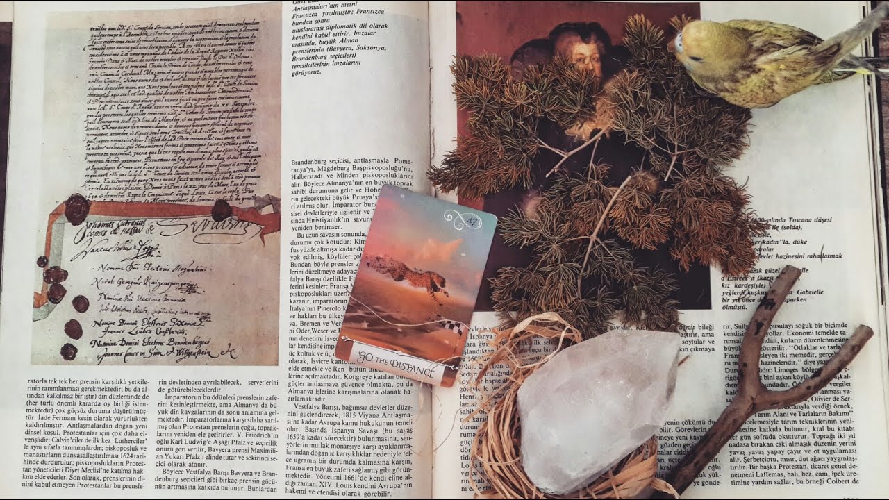 bir deste seç 🌸 sevdiğin kişi hakkında ne düşünüyor?