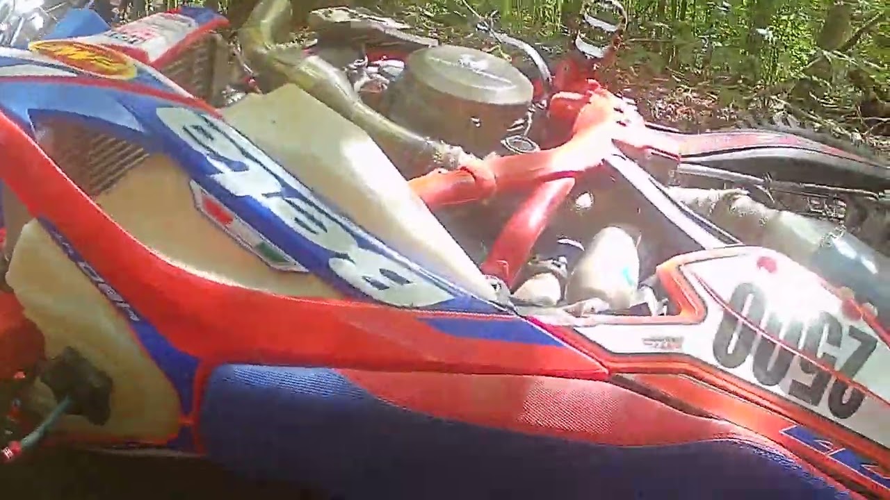 Hemlock hills.  Nyoa 2025. Super senior c 