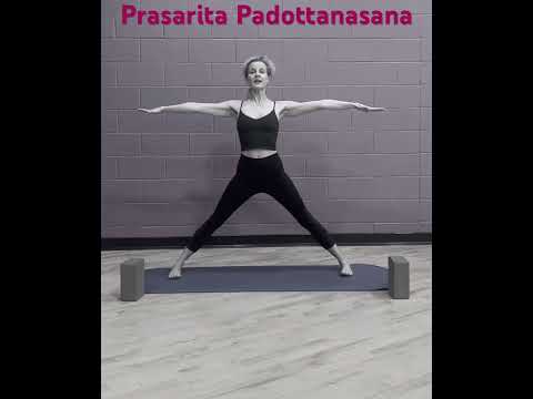 Prasarita Padottanasana Wide Legged Forward Fold With Maria Toso Yoga Teacher Training Yogapose