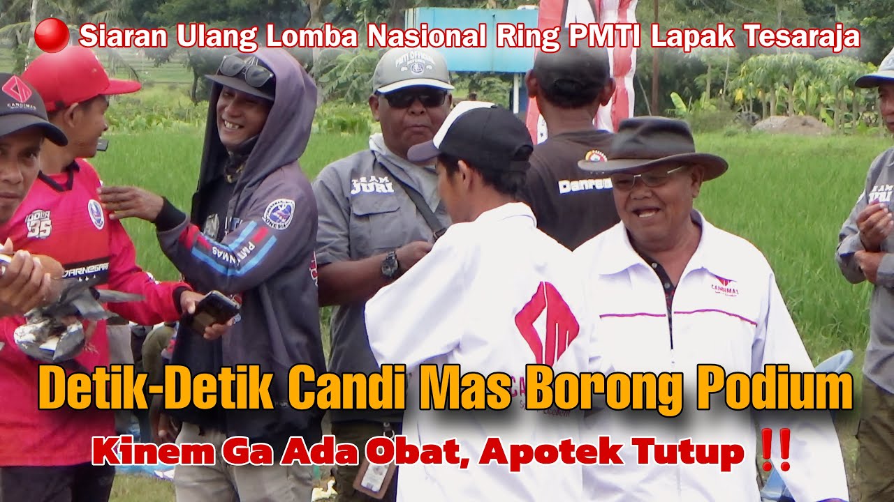 DETIK DETIK CANDI MAS BORONG PIALA DI LOMBA NASIONAL RING PMTI LAPAK TESARAJA PATIKRAJA